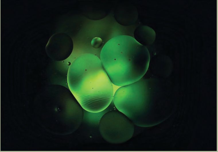 CalerieHealth™ β-NMN