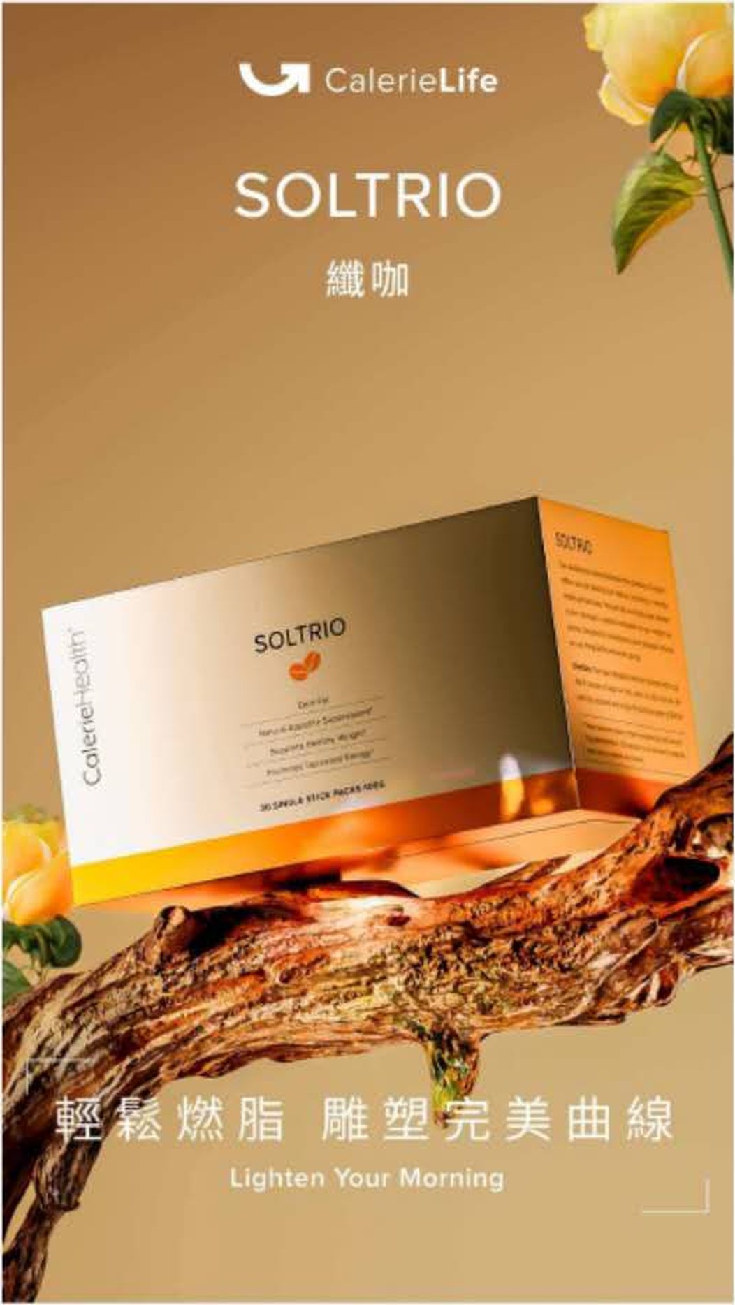 SOLTRIO 纤咖